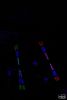 m_DSC_1788.jpg