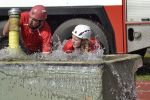 m__DSC0550.jpg