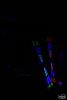 m_DSC_1790.jpg