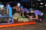 IMG_1256.JPG