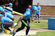 IMG_3515.JPG