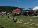 IMG_20190629_1303161.jpg