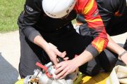 IMG_3051.JPG