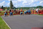 DSC_0045.jpg