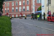 DSC_0113.jpg