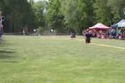 m_IMG_0962.JPG
