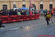 DSC_0110.jpg