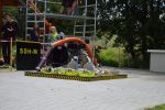 DSC_0272.jpg