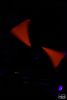 m_DSC_1785.jpg
