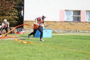 m_IMG_2353.JPG