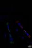 m_DSC_1789.jpg