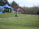 DSCN2702.jpg