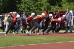 m__DSC0503.jpg