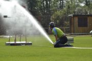 m__DSC0436.jpg