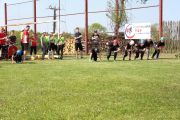 m_IMG_2175.JPG