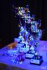 m_DSC_1731.jpg