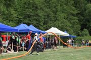 m_DSC_0721.JPG